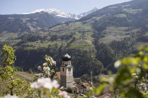 Chiesa di Rifiano